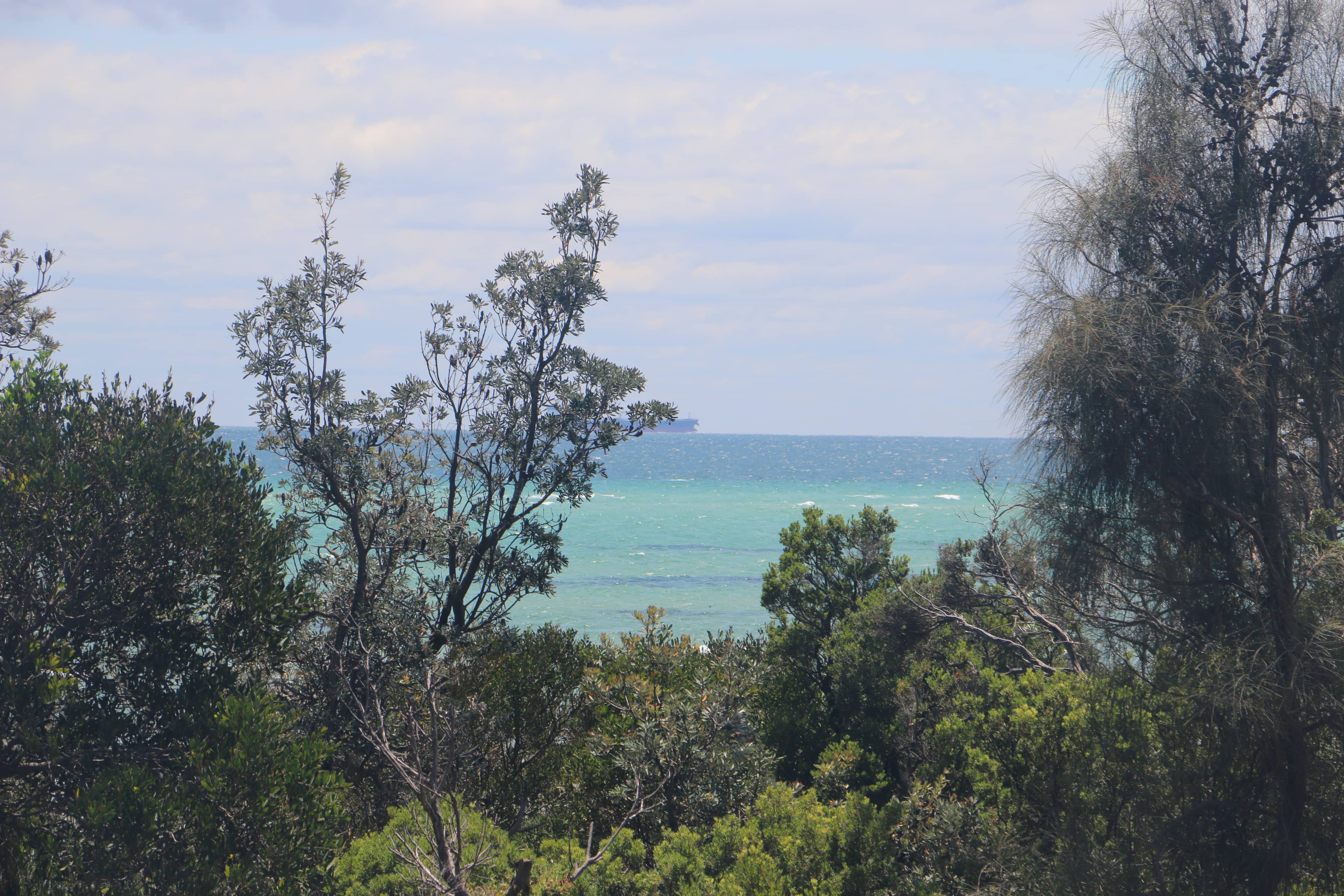 MAX Entertain Beachside Retreat - Amazing Backyard - Beach and Views